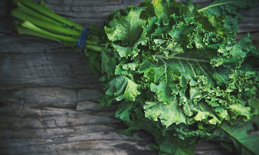 Bundle of kale leaves