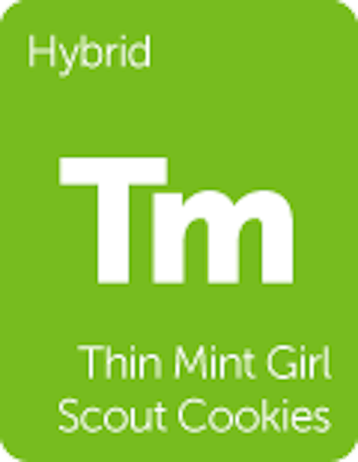 Leafly "Thin Mint GSC (f.k.a Girl Scout Cookies)" hybrid cannabis strain tile