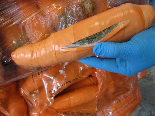 Cannabis disguised as carrots