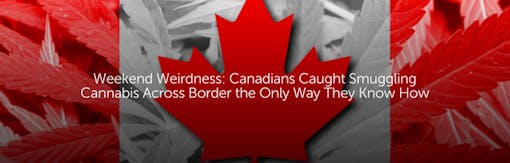 Weekend Weirdness: Canadians Caught Smuggling Cannabis Across Border the Only Way They Know How