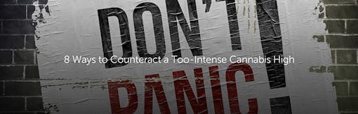 8 Ways to Counteract a Too-Intense Cannabis High