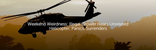 Weekend Weirdness: Illegal Grower Hears Unrelated Helicopter, Panics, Surrenders