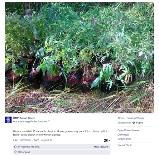 Bolton South police Facebook message about misplaced cannabis plants