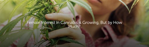 Female Interest in Cannabis is Growing, But by How Much?
