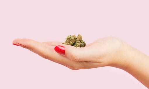 A woman's hand holding cannabis flower