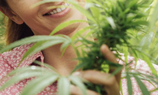 A woman smiling while holding a budding flower on a cannabis plant