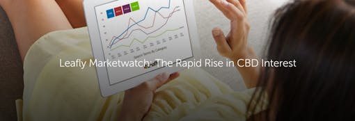 Leafly Marketwatch: The Rapid Rise in CBD Interest