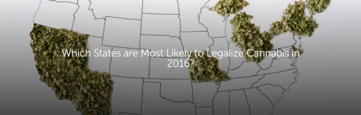 Which States are Most Likely to Legalize Cannabis in 2016?