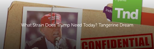 What Strain Does Trump Need Today? Tangerine Dream