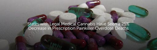 States with Legal Medical Cannabis Have Seen a 25% Decrease in Prescription Painkiller Overdose Deaths