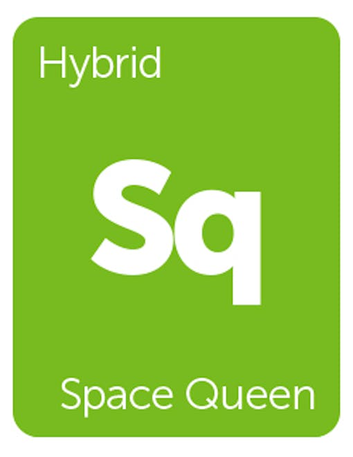 Leafly Space Queen cannabis strain tile