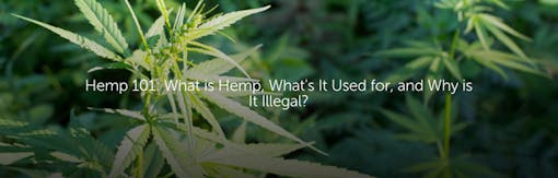 Hemp 101: What is Hemp, What's It Used for, and Why is It Illegal?