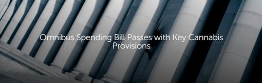 Omnibus Spending Bill Passes with Key Cannabis Provisions