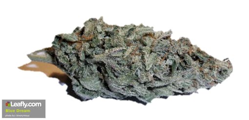 Leafly Blue Dream cannabis strain