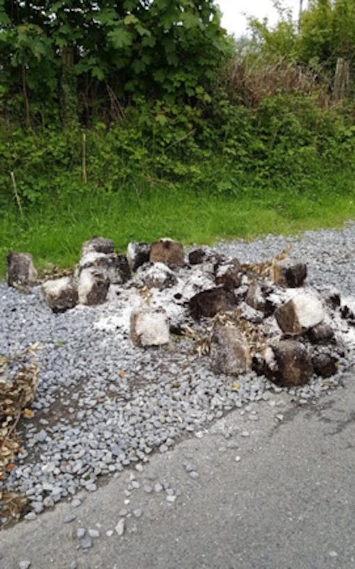 Image of "cannabis" via The Telegraph