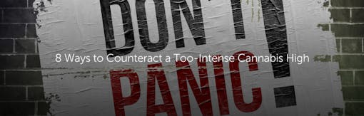 8 Ways to Counteract a Too-Intense Cannabis High