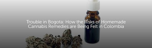 Trouble in Bogota: How the Risks of Homemade Cannabis Remedies are Being Felt in Colombia