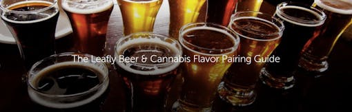 The Leafly Beer & Cannabis Flavor Pairing Guide