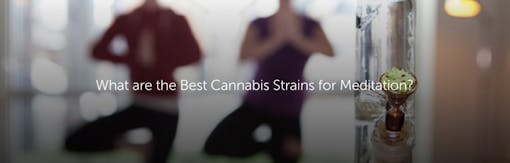 What are the Best Cannabis Strains for Meditation?