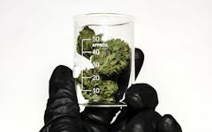 how to talk to your doctor about cannabis, doctors and marijuana