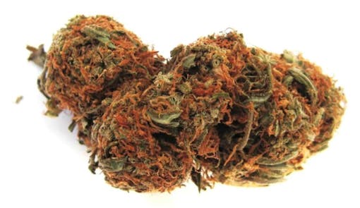 pot of gold marijuana strain