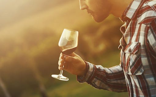 Leafly Guide to Pairing Wine and Cannabis