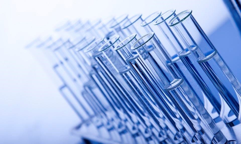 How to Interpret Cannabis Testing image