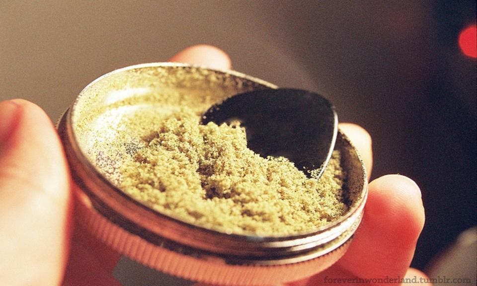 what-is-kief-cannabis-glossary-leafly