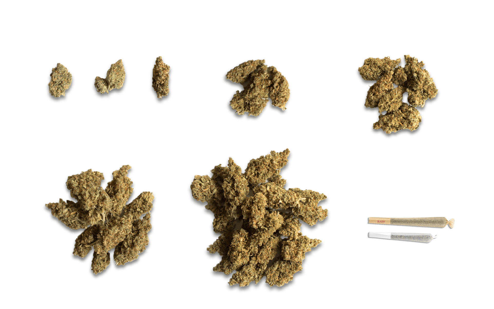 A visual guide to cannabis quantities image
