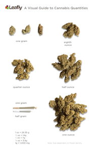 Visual Guide To Weed Weights Measurements Leafly