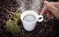 The Leafly Guide to Pairing Marijuana and Coffee | Leafly