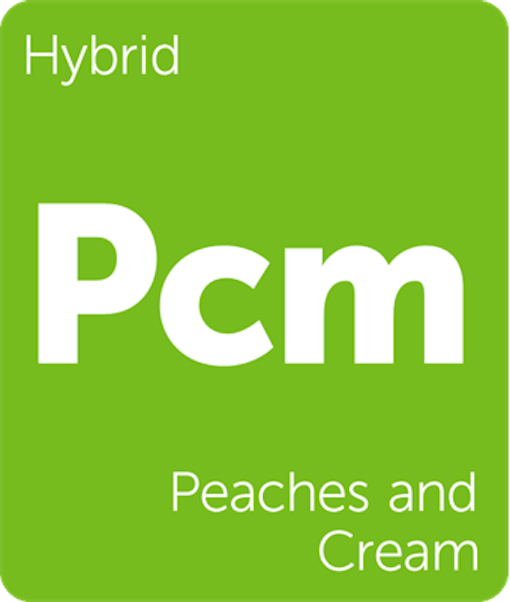 Peaches and Cream Leafly Strain Tile