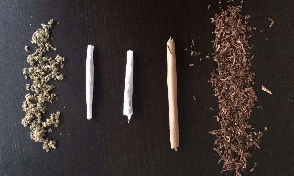 What’s the difference between joints, blunts, and spliffs? image