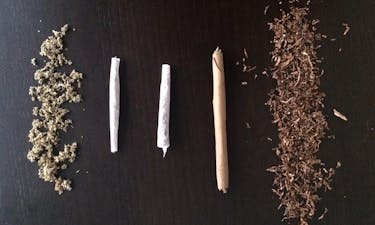 What's the difference between joints, blunts, and spliffs? image