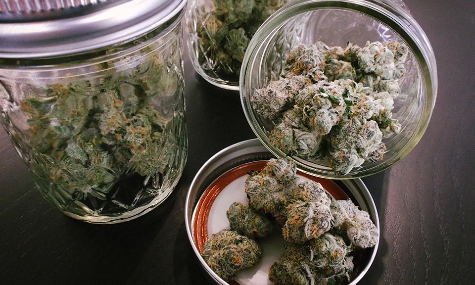 The ultimate guide to drying and curing cannabis for the best results