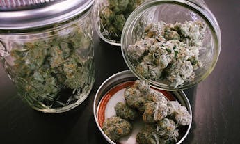 Growing cannabis indoors 101
