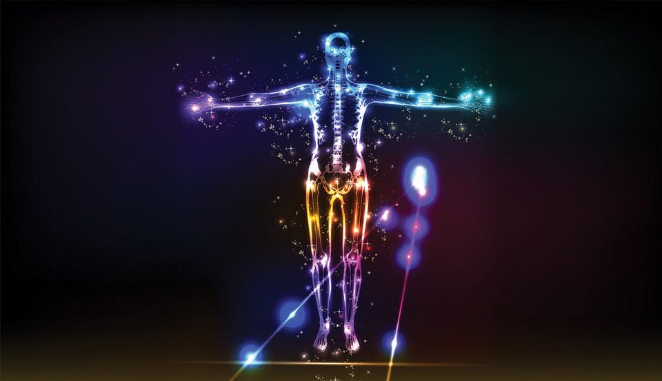 Cannabinoids and the Immune System: Immuno-Cannabinoid Effects image