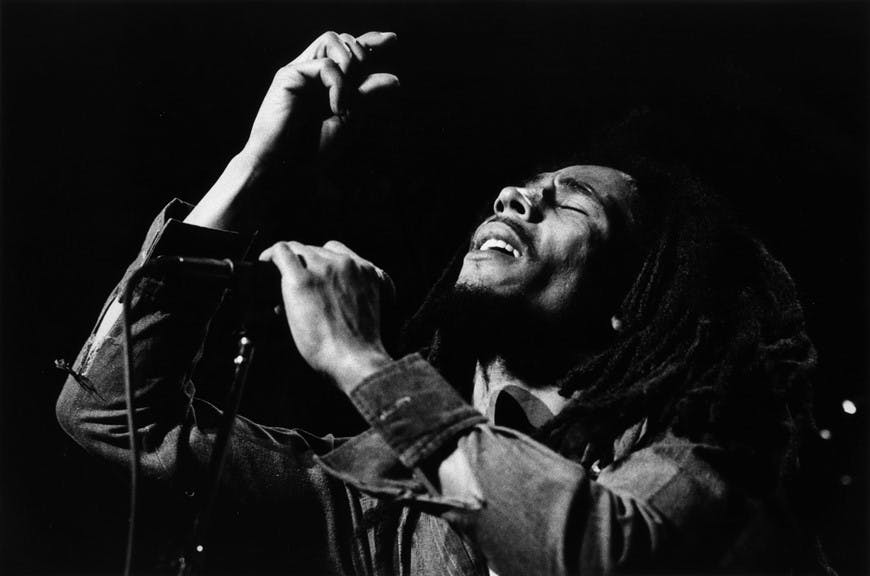 Honor Bob Marley with These 7 Strains image