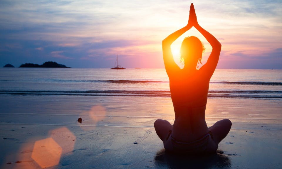 Is Your Endocannabinoid System in Balance? image