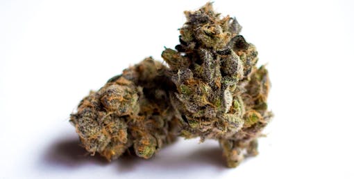 granddaddy purple marijuana strain