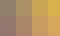 Image Test