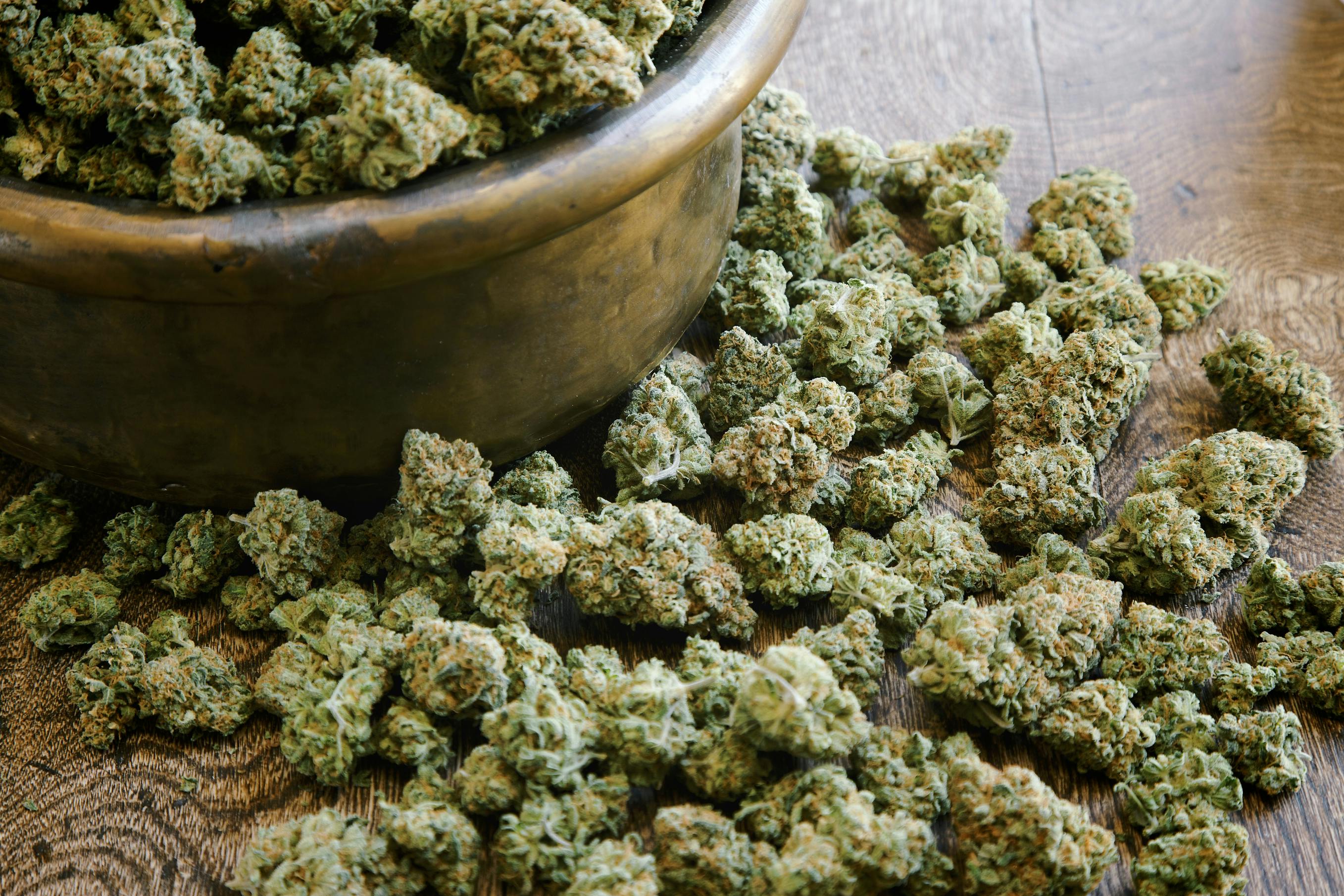 How to Get Hired as a Budtender image