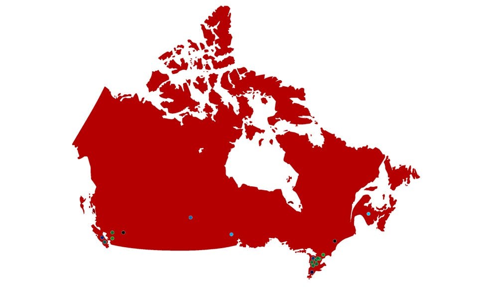 How to Choose a Medical Cannabis LP image