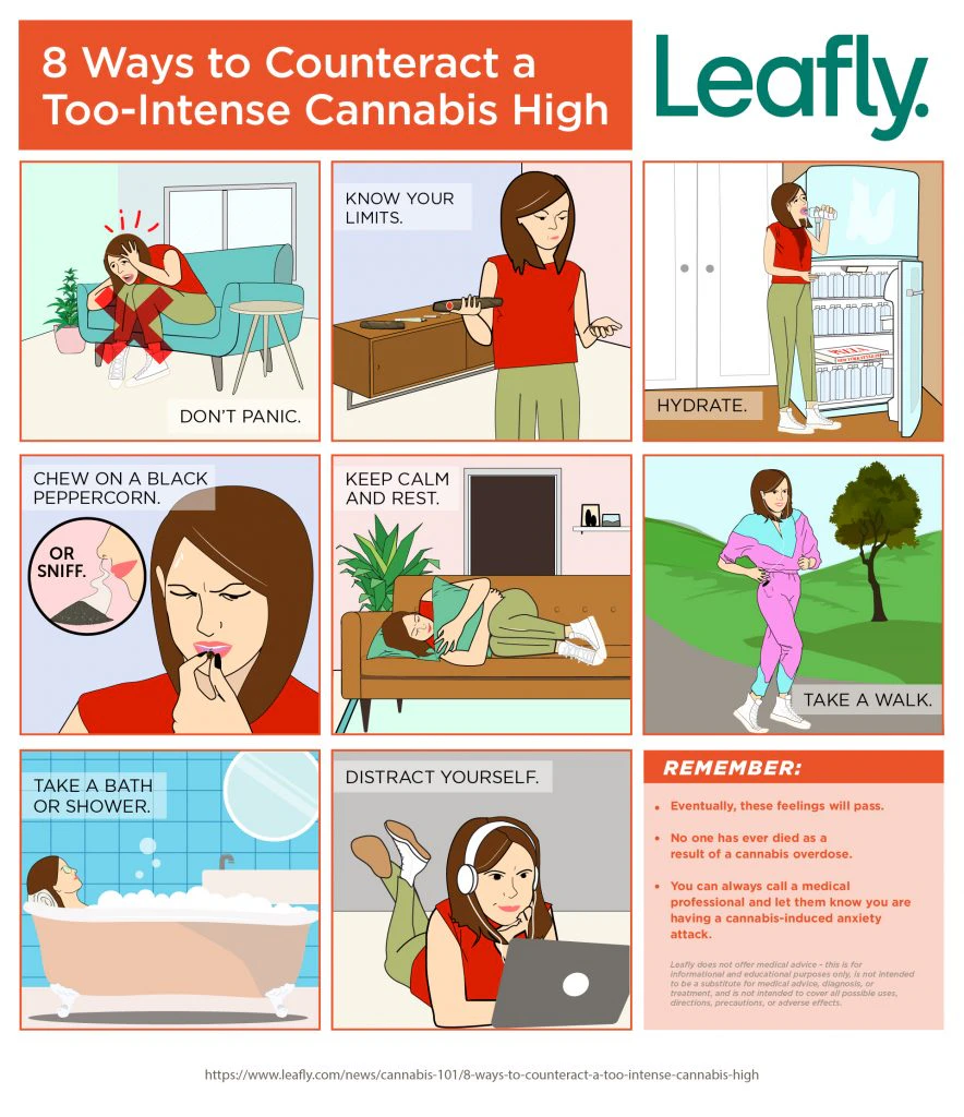 what to do when you're too high, how to help when you're too high, smoked too much marijuana