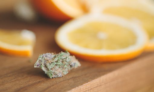 Clean weed in California: Compliant marijuana flower brands