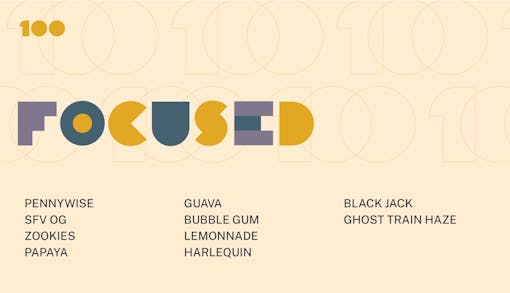 focused marijuana strains