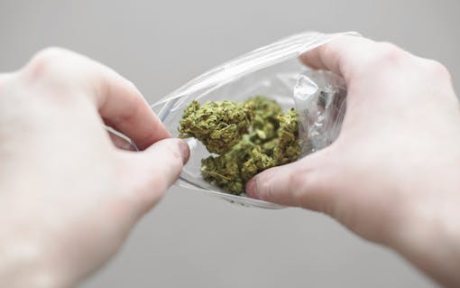 8 Ways to Counteract a Too-Intense Cannabis High