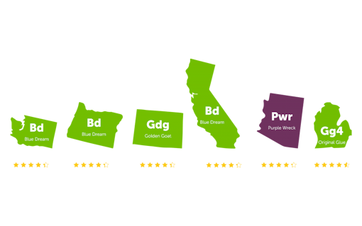 Most popular cannabis strain and its rating in Washington, Oregon, Colorado, California, Arizona, and Michigan
