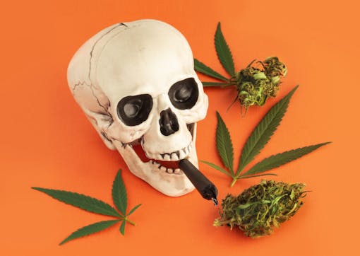 skull on orange background with a joint in it's mouth and cannabis leaves and nugs