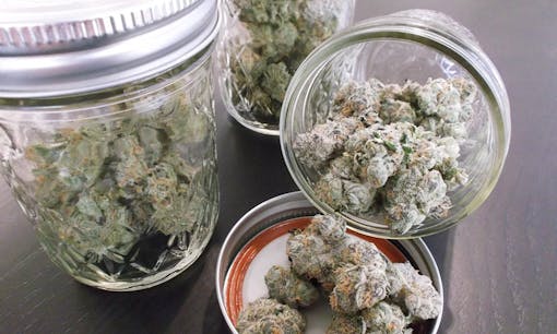 drying and curing cannabis in jars